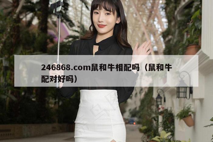 246868.com鼠和牛相配吗（鼠和牛配对好吗）